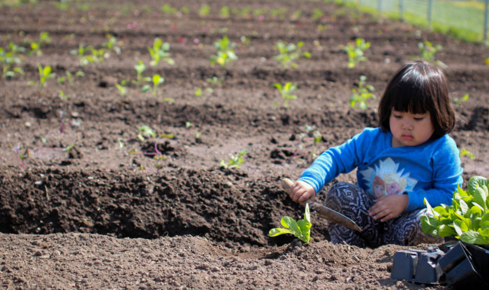 Girl gardening at RAIS Fresh International Gardens